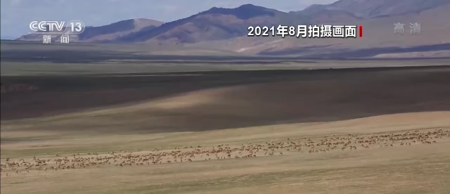 **考古发现大量岩画