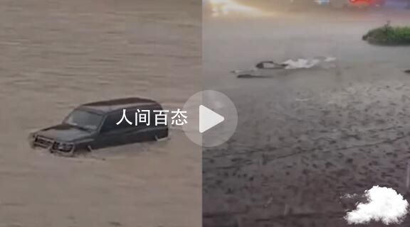 实拍四川暴雨:大鱼游上街头乱窜