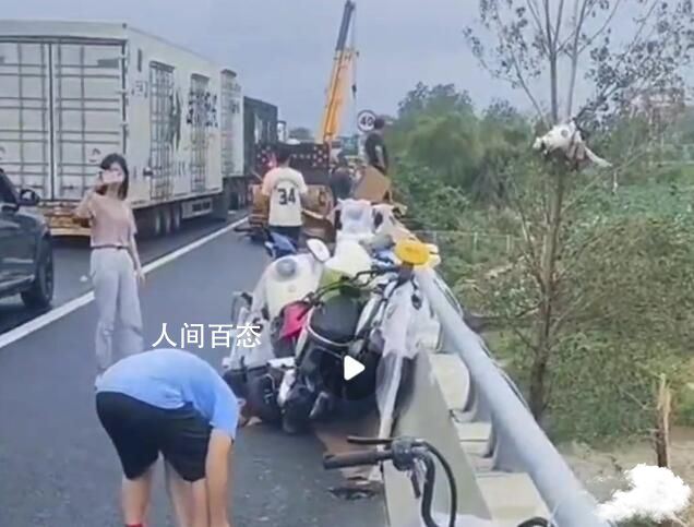 江苏多地疑现龙卷风:电瓶车挂树上