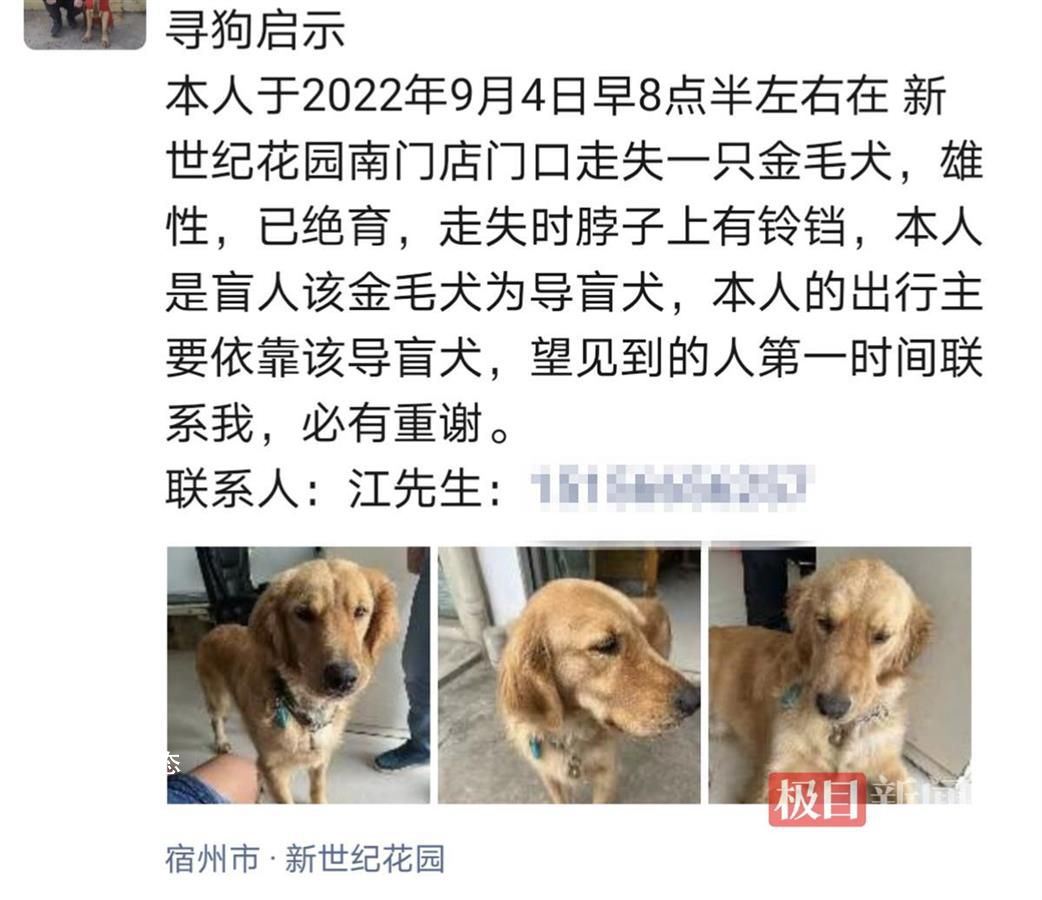 申请3年才领到的导盲犬被顺走 如何领养导盲犬退役后的导盲犬