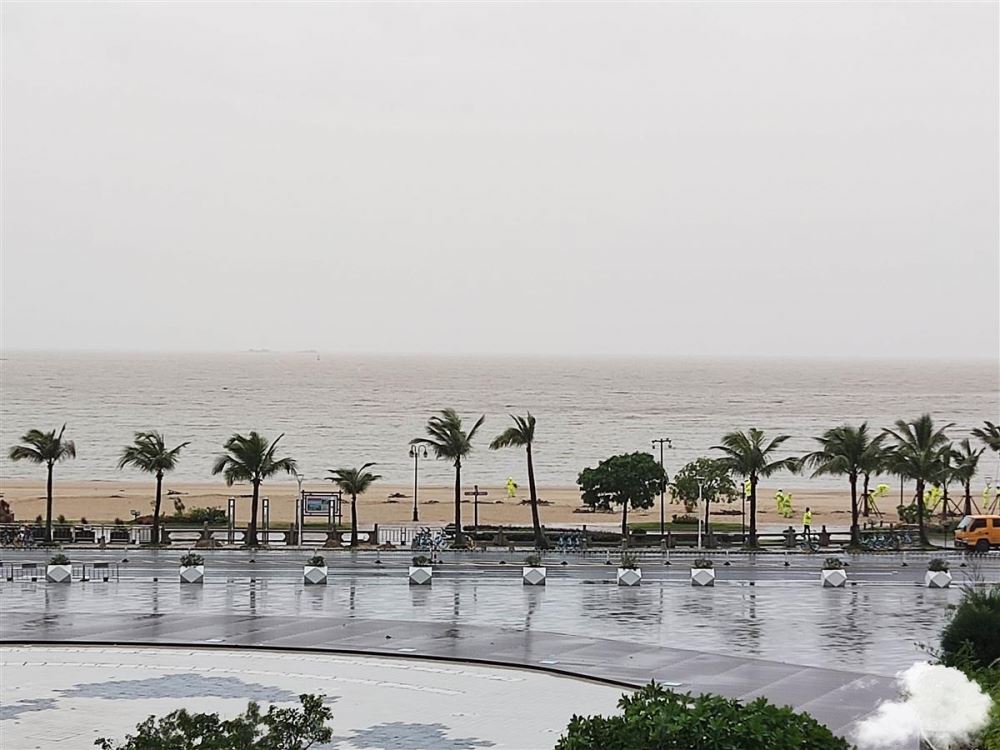 市民亲历“暹芭”登陆：台风眼风平浪静，外围树木七倒八歪 超强台风暹芭