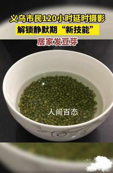 义乌市民静默期解锁“新技能”
