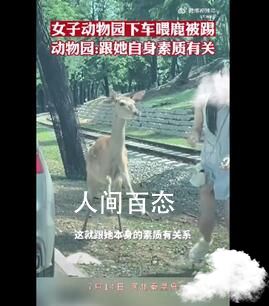 女子动物园里下车喂鹿被踢 园区内设有禁止私自带食物投喂的标志