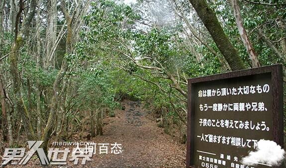 日本死亡森林可以进去吗 青木原树海为什么这么恐怖 日本青木原森林死人是真的吗