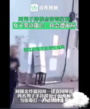 两男子持棍打狗女子哭泣阻拦 两男子持棍打狗女子哭泣阻拦视频