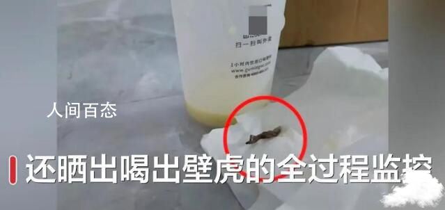 古茗奶茶被曝喝出壁虎 实在是太可怕了