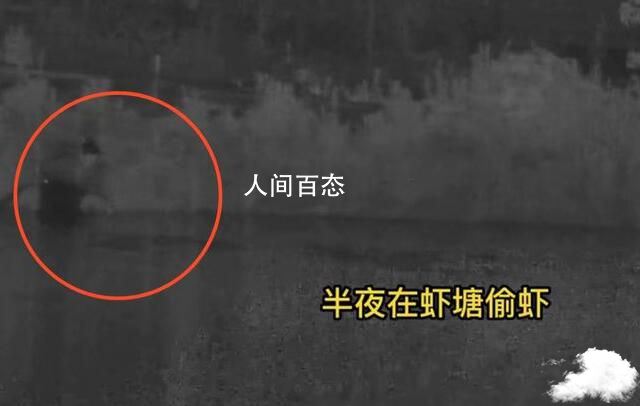 孙子爱吃小龙虾 爷爷狂偷100多斤 为解馋, 5名男子偷了400余斤小龙虾