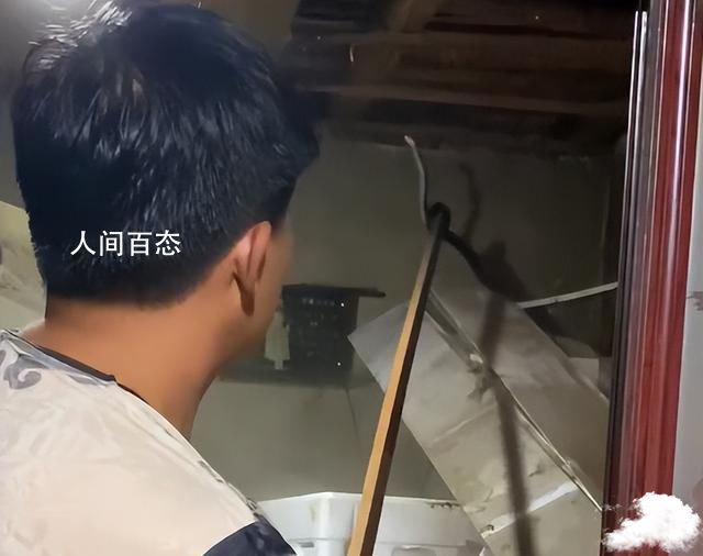 3条大蟒蛇压塌房顶