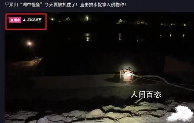 怪鱼锁定!专业人员将下洞捉拿 二名怪物