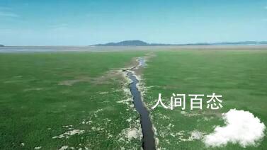 “汛期反枯”,鄱阳湖湿地生态何解 旱涝急转事件对鄱阳湖流域