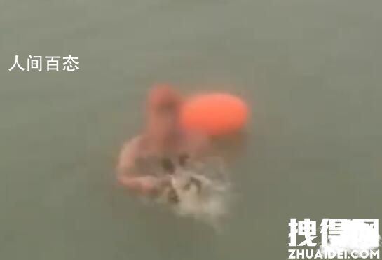 安徽一男子多次将狗闷在河水中挣扎 残忍!男子将哀嚎的狗狗丢到沸水中活活烫死 引众怒