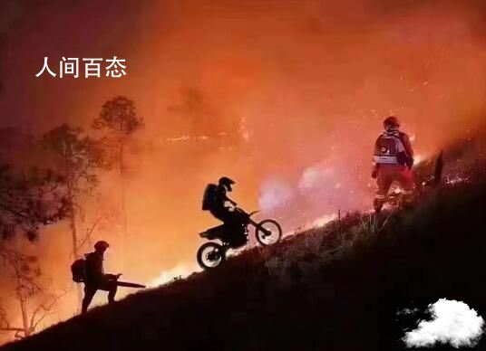 重庆志愿者送物资未戴头盔被罚? 重庆志愿者送物资未戴头盔被罚多少钱