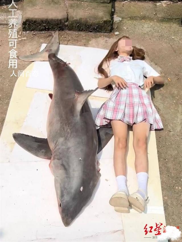 网红疑用濒危大白鲨做美食 网红疑用濒危大白鲨做美食,四川南充警方已介入