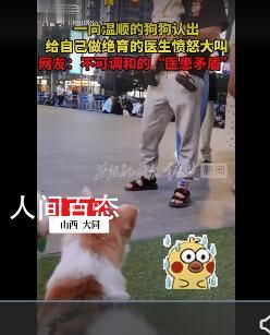 狗狗认出做绝育医生后大叫 这狗成精了 狗做了绝育之后