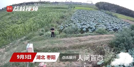 男子被恶狗咬伤后徒手将狗掐死 男子被恶狗咬伤后徒手将狗掐死视频