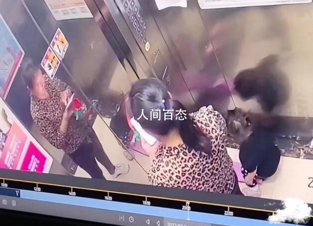 物业回应杭州女童坠楼处窗台过低 已上门安慰孩子家属 杭州小区小孩坠楼