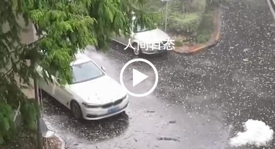 上海多地突降冰雹:大小宛若鸡蛋