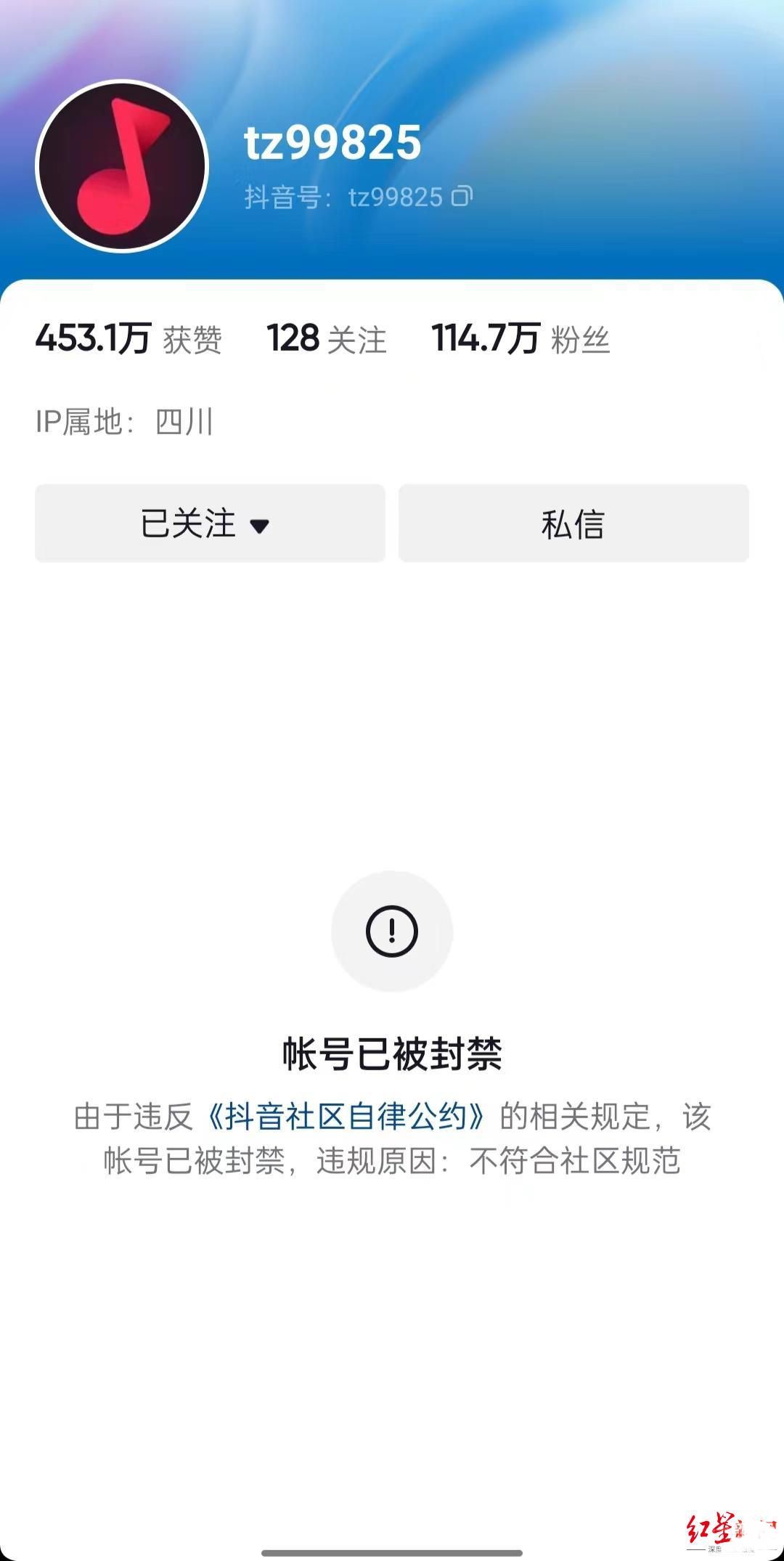 烹食噬人鲨网红账号被封禁 目前正对鲨鱼价值做进一步鉴定