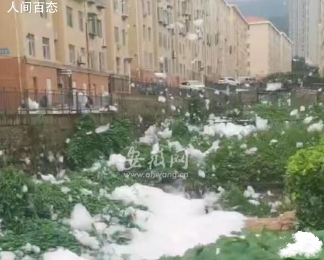 威海一小区内白色泡沫飞散 已经联系专家做鉴定了但是结果还没有出来