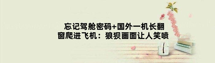 忘记驾舱密码 国外一机长翻窗爬进飞机：狼狈画面让人笑喷