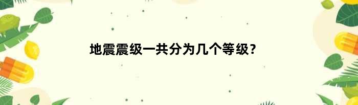 地震震级一共分为几个等级？