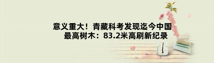 意义重大！青藏科考发现迄今中国更高树木：83.2米高刷新纪录
