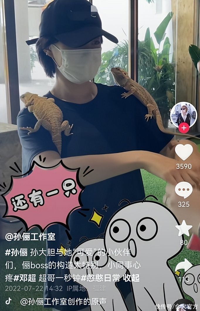 孙俪徒手抓蛇好大胆，身上挂三只蜥蜴，一旁邓超被吓破胆直呼救命
