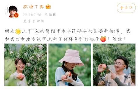 夏日限定组合！王冰冰丁真简阳小镇卖桃，丁真满脸汗一裤子灰好卖力