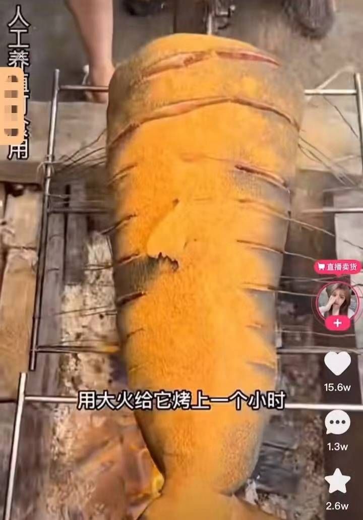 举报“网红疑烹食濒危‘大鲨鱼’”当事人：为获取信任成为“榜单大