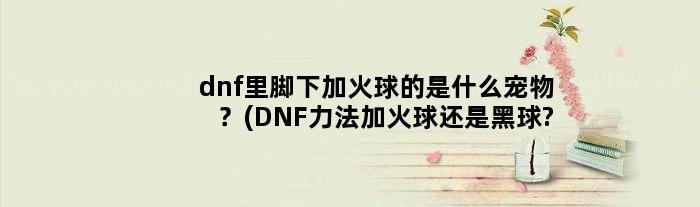 dnf里脚下加火球的是什么宠物？(DNF力法加火球还是黑球?)