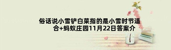 俗话说小雪铲白菜指的是小雪时节适合 蚂蚁庄园11月22日答案介绍
