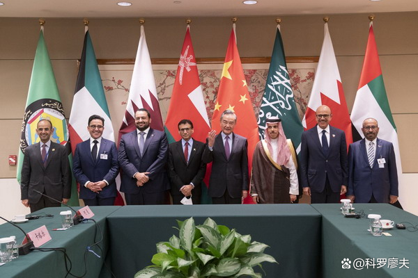 6大产油国代表，集体找到中方外长，给出的承诺，对中国很重要