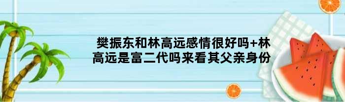 樊振东和林高远感情很好吗 林高远是富二代吗来看其父亲身份