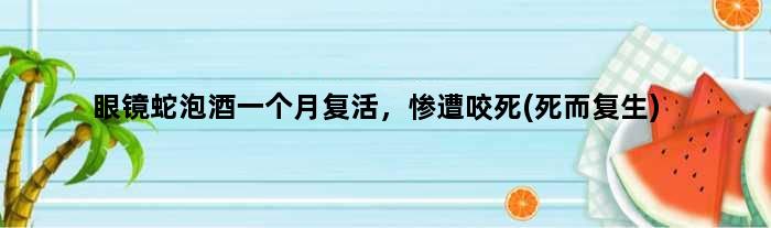 眼镜蛇泡酒一个月复活，惨遭咬死(死而复生)