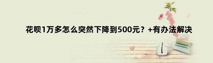 花呗1万多怎么突然下降到500元？ 有办法解决