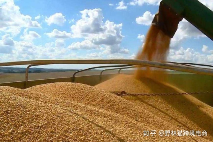 巴西大豆的涨价导致中国目光转向俄罗斯