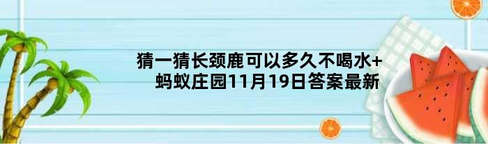 猜一猜长颈鹿可以多久不喝水 蚂蚁庄园11月19日答案最新