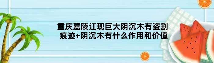 重庆嘉陵江现巨大阴沉木有盗割痕迹 阴沉木有什么作用和价值