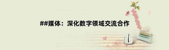 ##媒体：深化数字领域交流合作