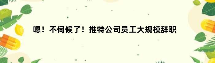 嗯！不伺候了！推特公司员工大规模辞职