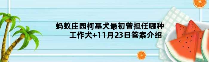 蚂蚁庄园柯基犬最初曾担任哪种工作犬 11月23日答案介绍