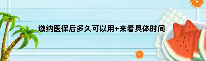 缴纳医保后多久可以用 来看具体时间