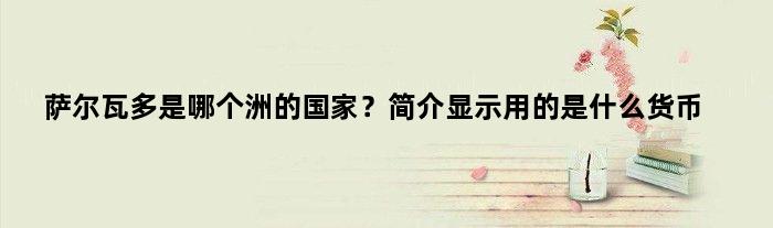 萨尔瓦多是哪个洲的？简介显示用的是什么货币