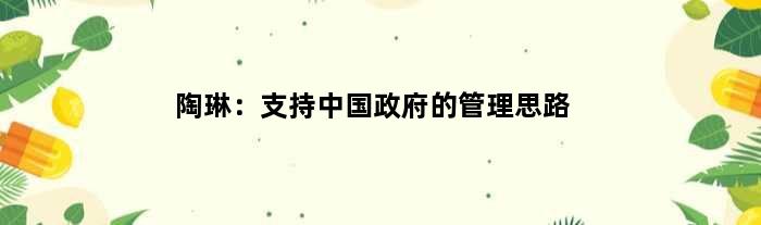 陶琳：支持中国政府的管理思路