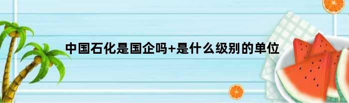 中国石化是国企吗 是什么级别的单位