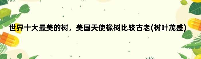 世界十大最美的树，美国天使橡树比较古老(树叶茂盛)