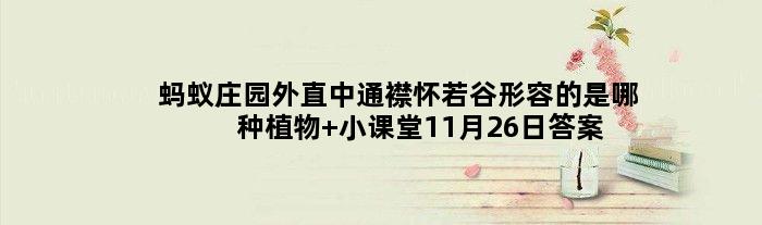 蚂蚁庄园外直中通襟怀若谷形容的是哪种植物 小课堂11月26日答案介绍
