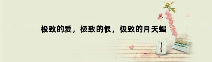 的爱，的恨，的月天蝎