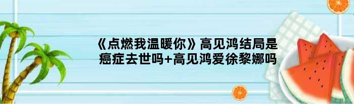 《点燃我温暖你》高见鸿结局是癌症去世吗 高见鸿爱徐黎娜吗