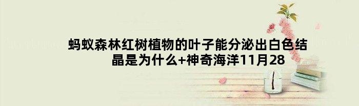 蚂蚁森林红树植物的叶子能分泌出白色结晶是为什么 神奇海洋11月28日答案